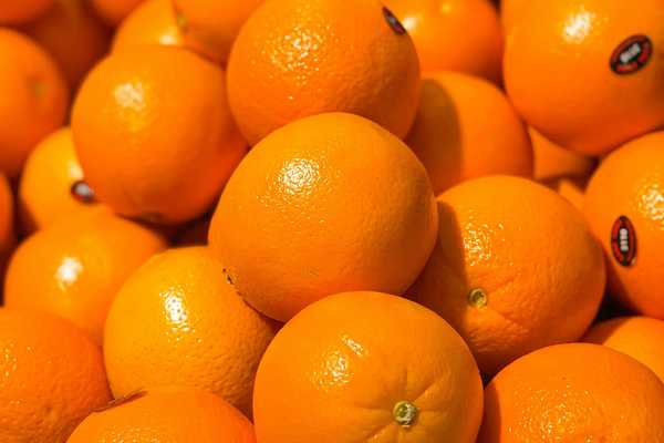 Pakistan could build USD 1 Bn fruit and vegetable export industry in three years, SE Fruits CFO says