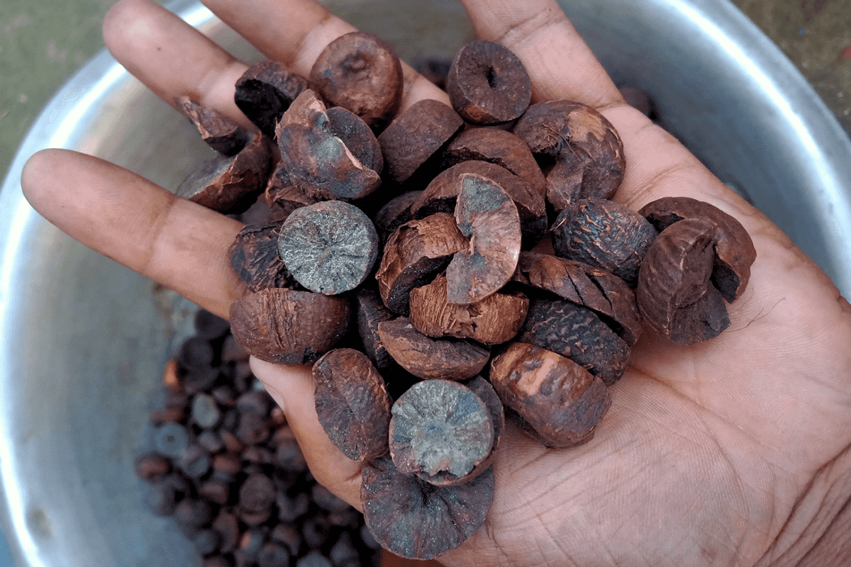 Pakistan’s betel nut and ‘gutka’ trade at center of power struggle