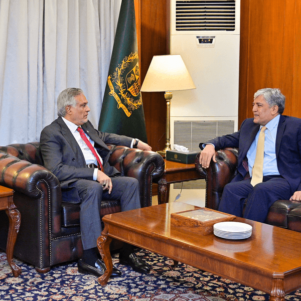 Pakistan reaffirms commitment to deepening ties with UAE, praises role of diaspora