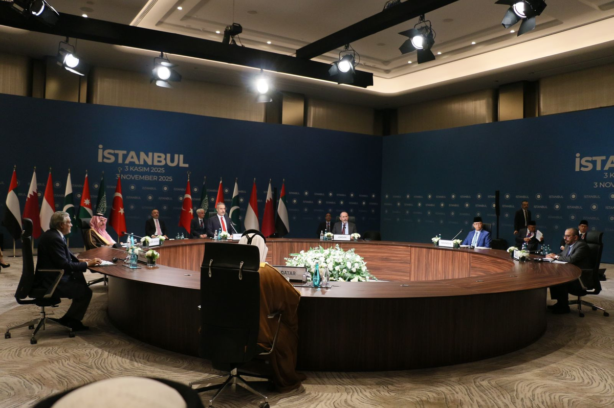 Pakistan, Turkey discuss Gaza crisis, vow to deepen political and economic ties