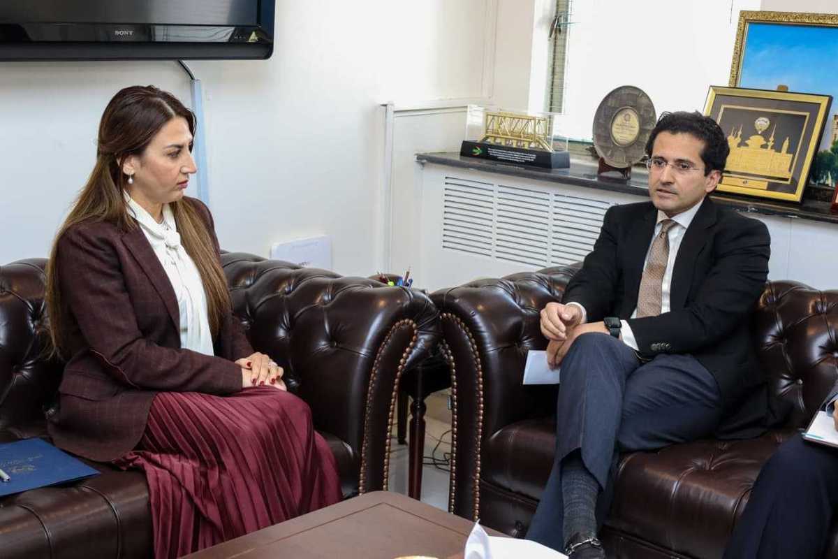 Pakistan, US discuss energy cooperation and long-term fuel supply contracts