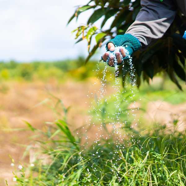 Pakistan fertilizer sales spike as farmers rush to buy early