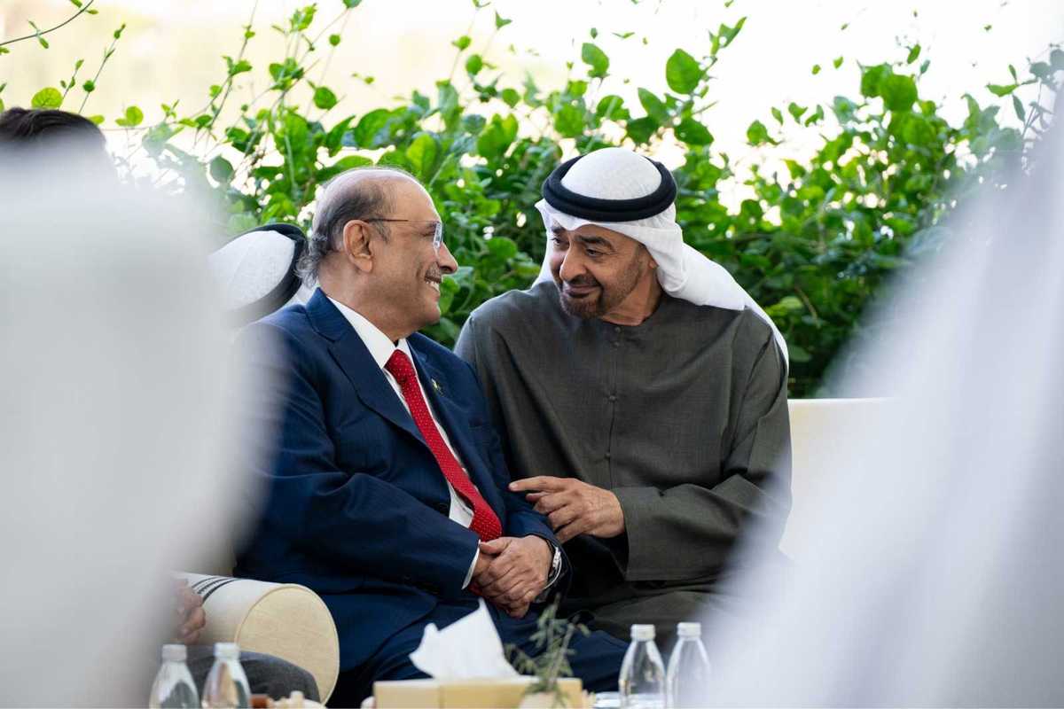 Pakistan president meets UAE counterpart, discusses trade, investment cooperation