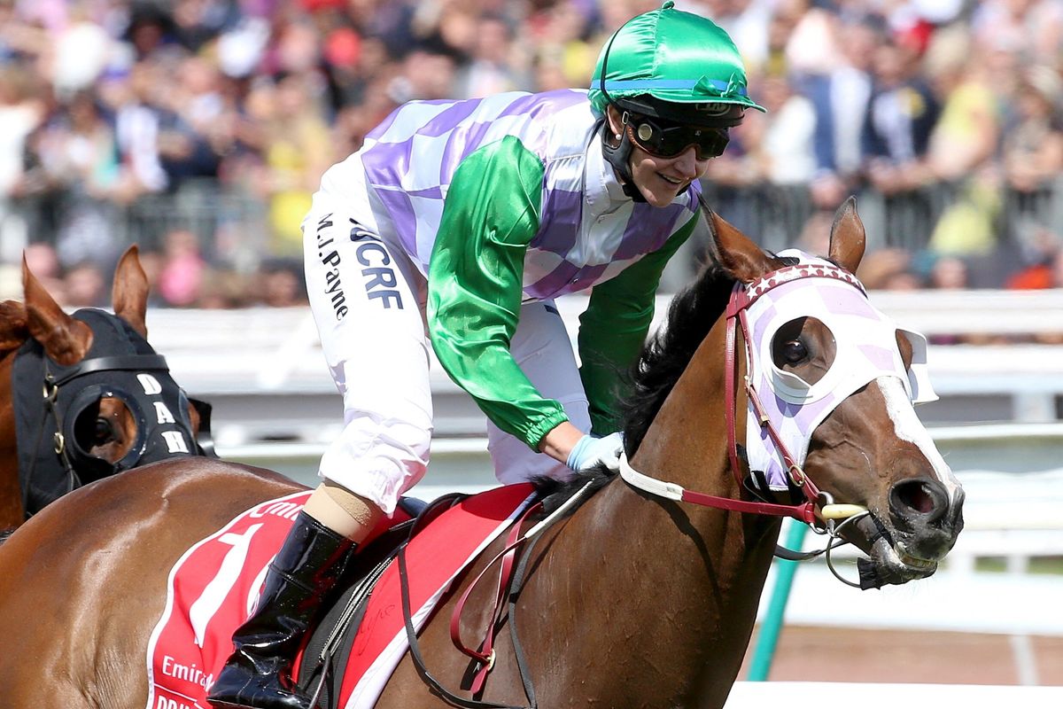 Women jockeys look to emulate Payne's Melbourne Cup success