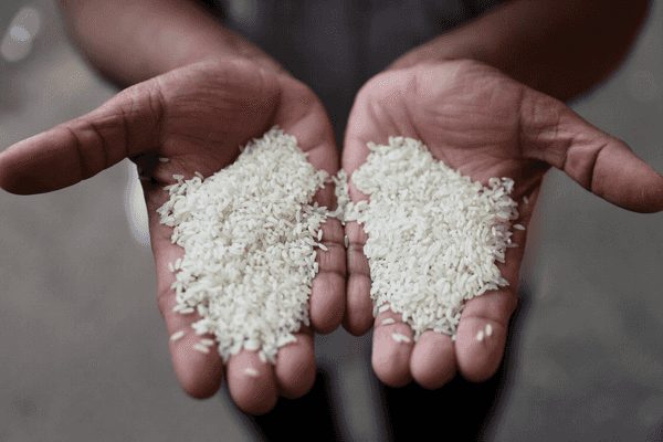 Pakistan secures 60,000-tonne rice orders from Chinese buyers
