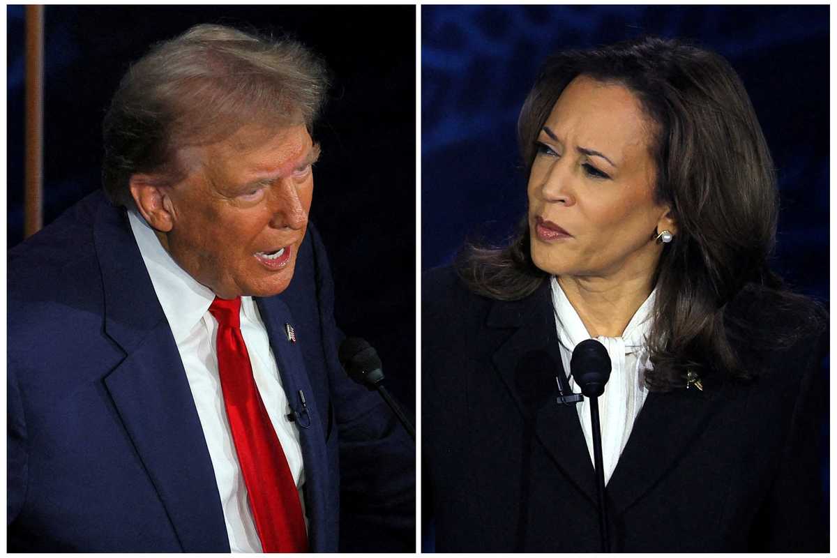 Harris overtakes Trump among suburban voters, polls show