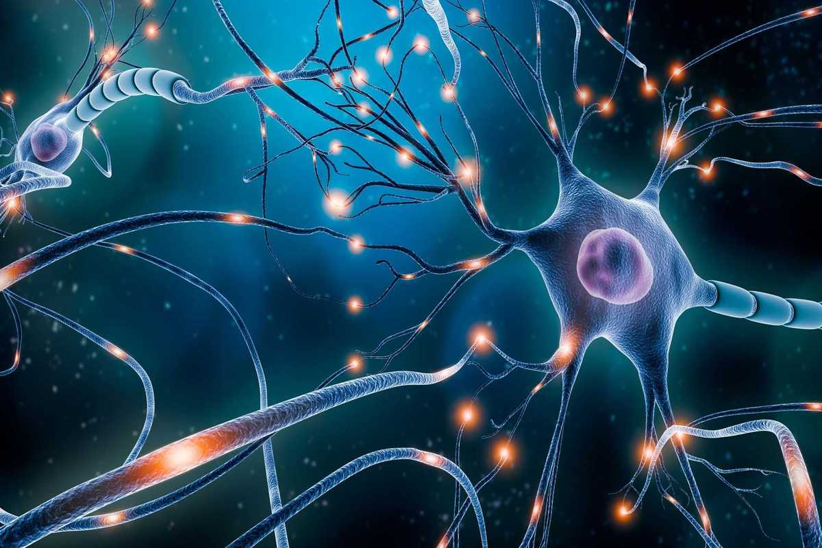 UAE and US researchers develop molecule targeting Parkinson’s progression