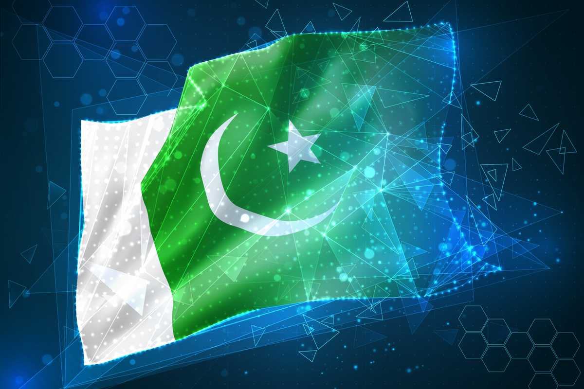 Senate IT committee approves Digital Nation Pakistan Bill despite opposition concerns