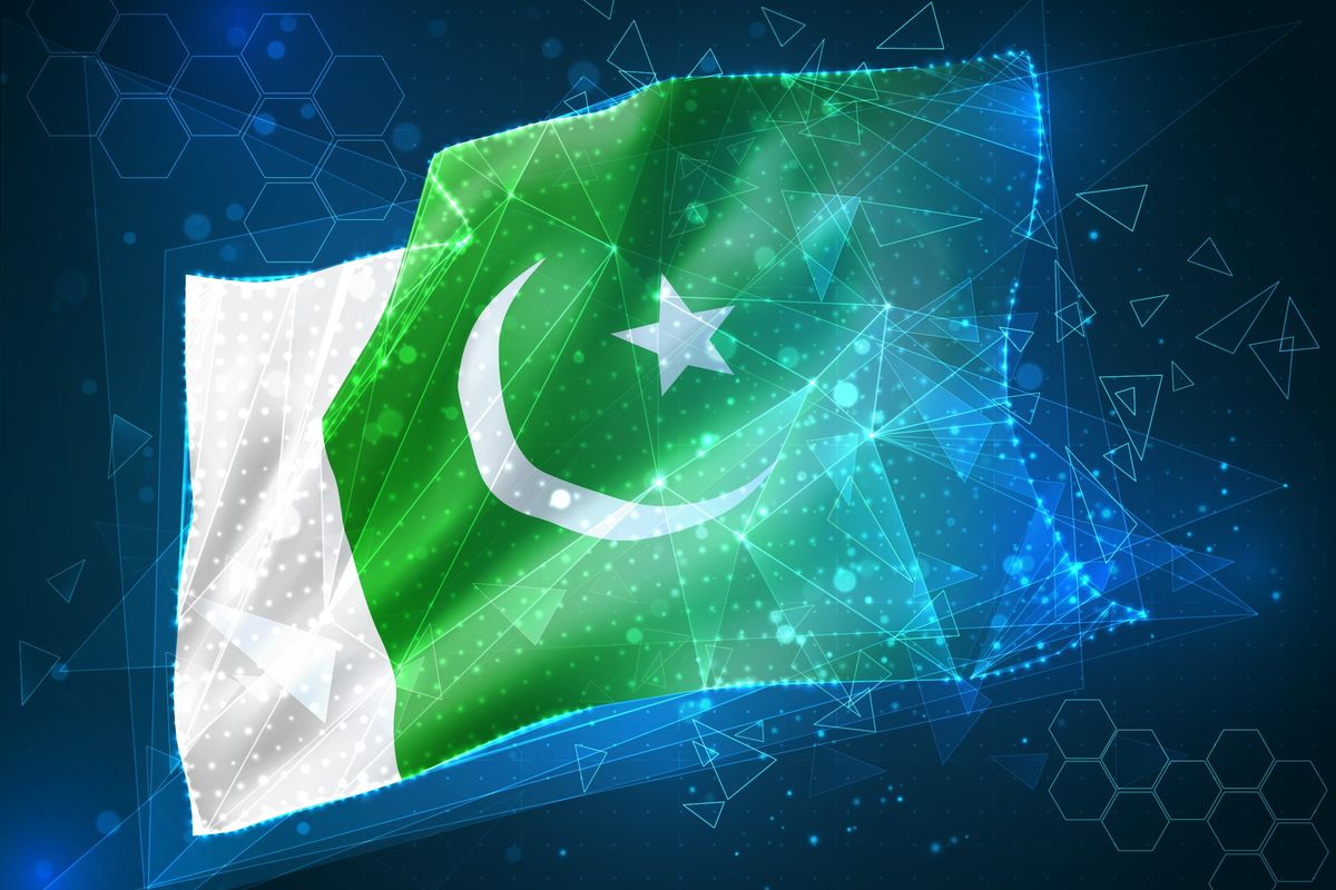 Senate IT committee approves Digital Nation Pakistan Bill despite opposition concerns