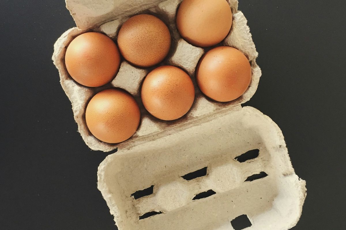 Pakistan’s only pasteurized egg products company announced IPO on PSX