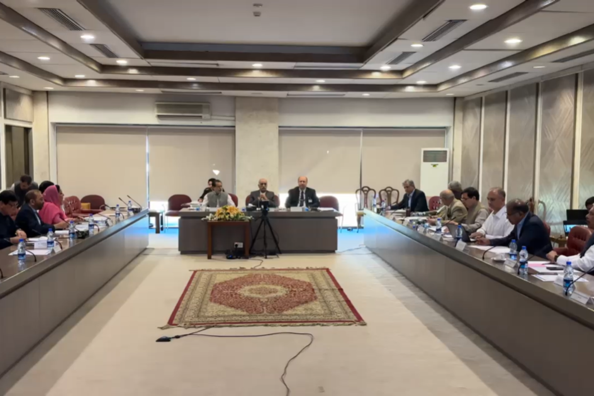 Closer to consensus? Parliamentary committee meets again over constitutional amendments