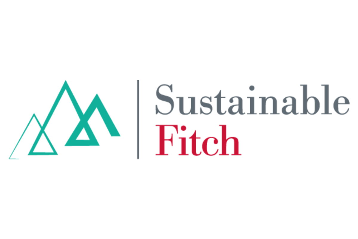 Sustainable Fitch praises Pakistan's green financing model