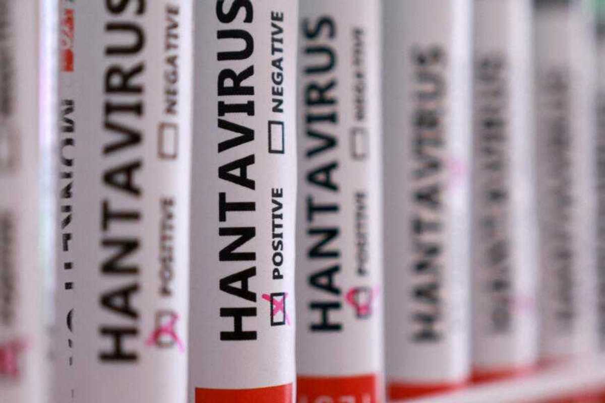 WHO says six hantavirus cases confirmed so far