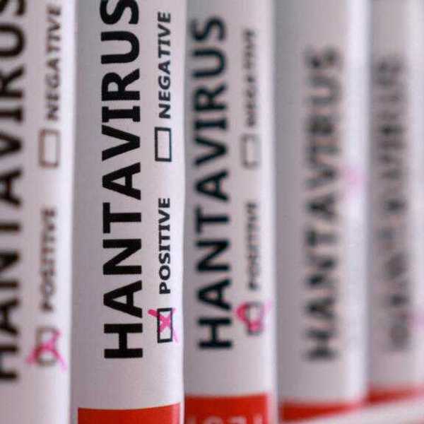 WHO warns of more hantavirus cases from cruise ship outbreak but expects spread to be limited