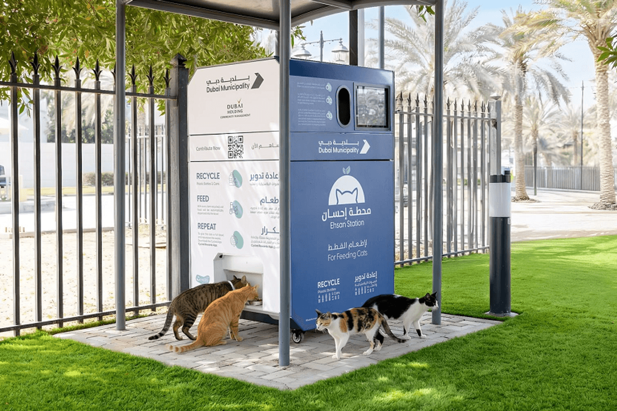 Dubai Municipality launches ‘Ehsan Stations’ to feed stray animals