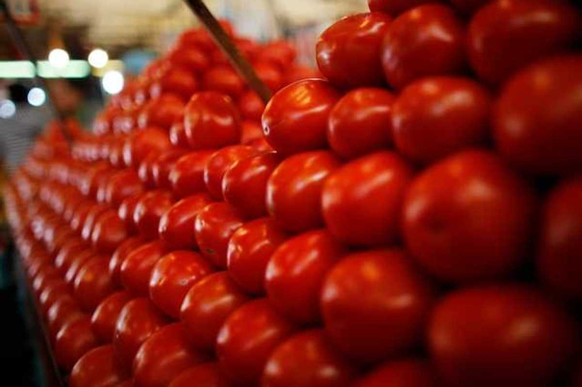 Pakistan, China sign MoU to develop industrial tomato varieties for local processing