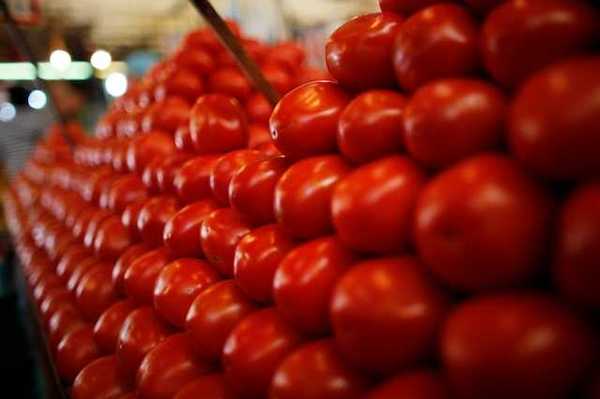 Pakistan, China sign MoU to develop industrial tomato varieties for local processing