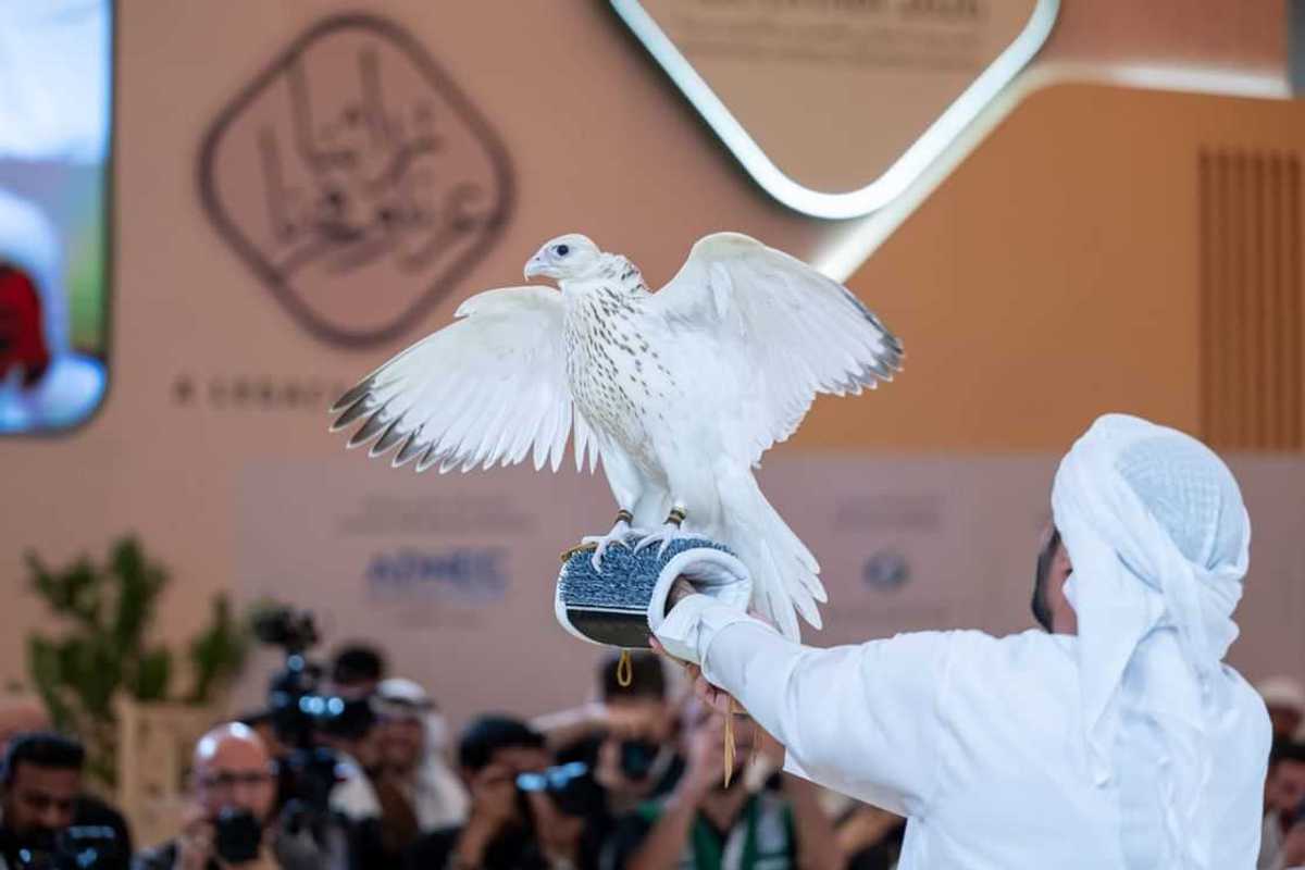 Falcon sells for record AED 2.1 million at Abu Dhabi auction