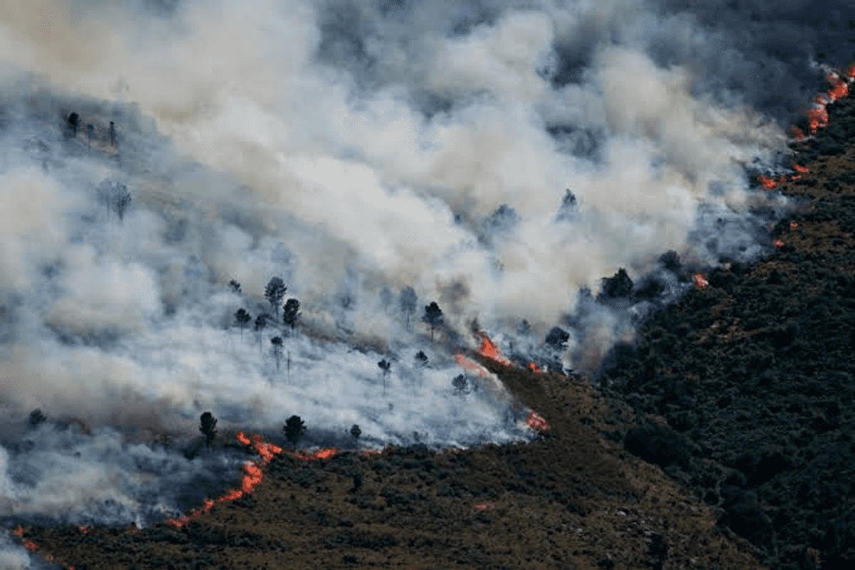 Untamed wildfires in Spain, France force over 200,000 to flee
