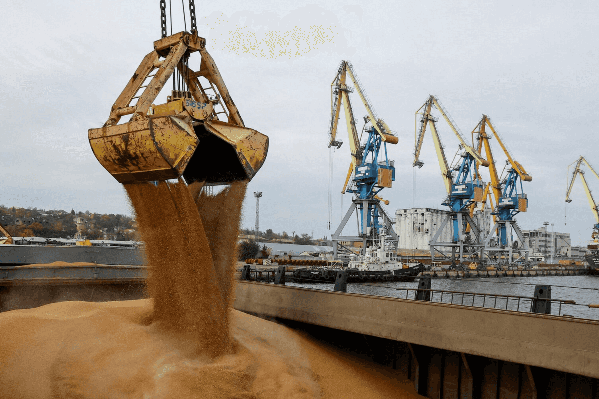 TCP receives wheat bids for 656,000 tons, below 750,000-ton target