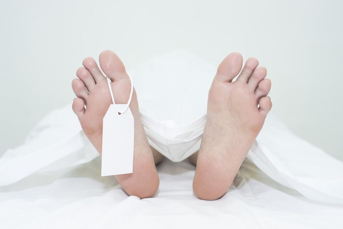 Body laid in Vienna cellar found after 25 years: police