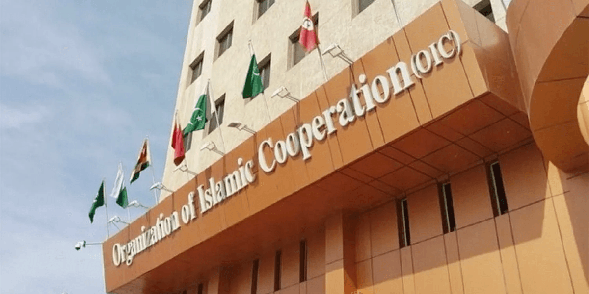 Oic Security OIC reaffirms solidarity with UAE after foiled security threat plot | Nukta
