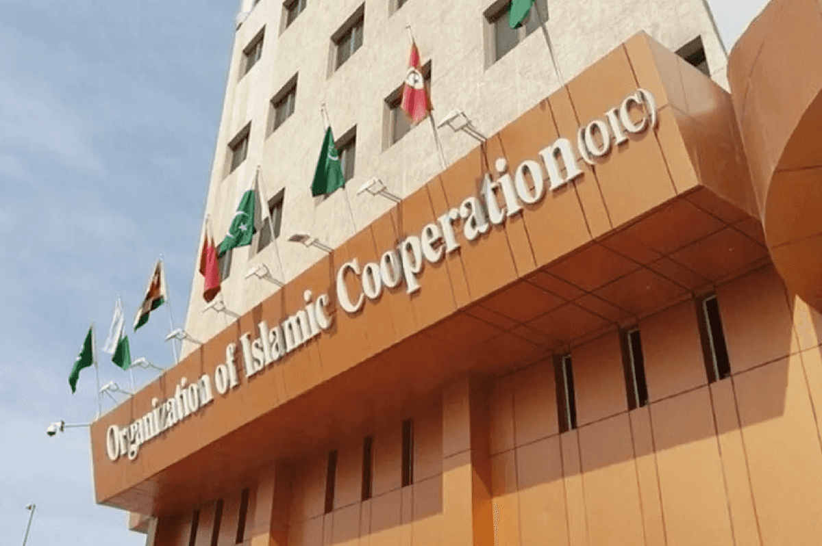 OIC reaffirms solidarity with UAE after foiled security threat plot