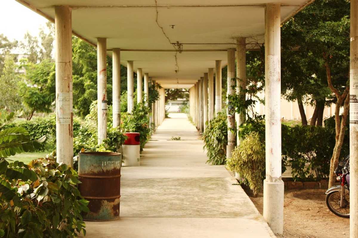 Why academic activities at public universities of Pakistan's Sindh have come to a standstill?