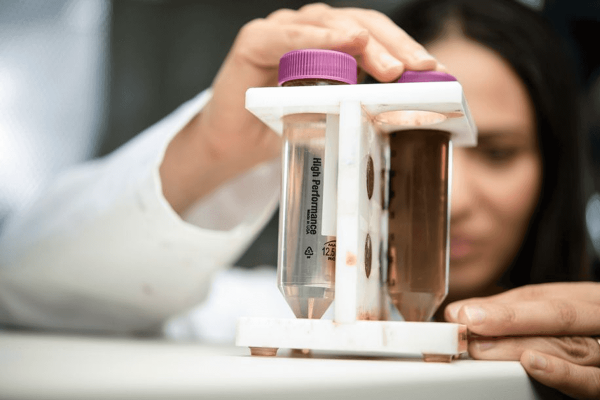 NYU Abu Dhabi researchers develop tool to enhance cancer cell detection in cryosurgery