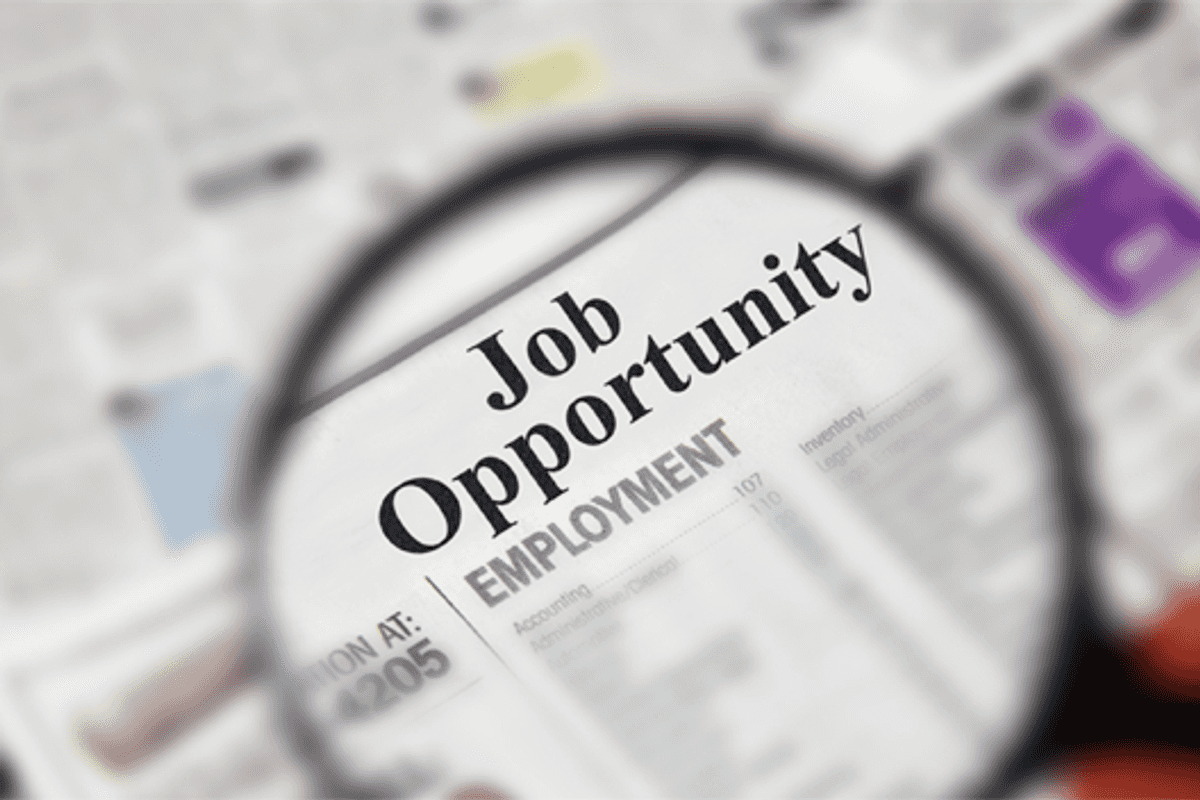 Fresh graduates face shrinking entry-level job opportunities in UAE