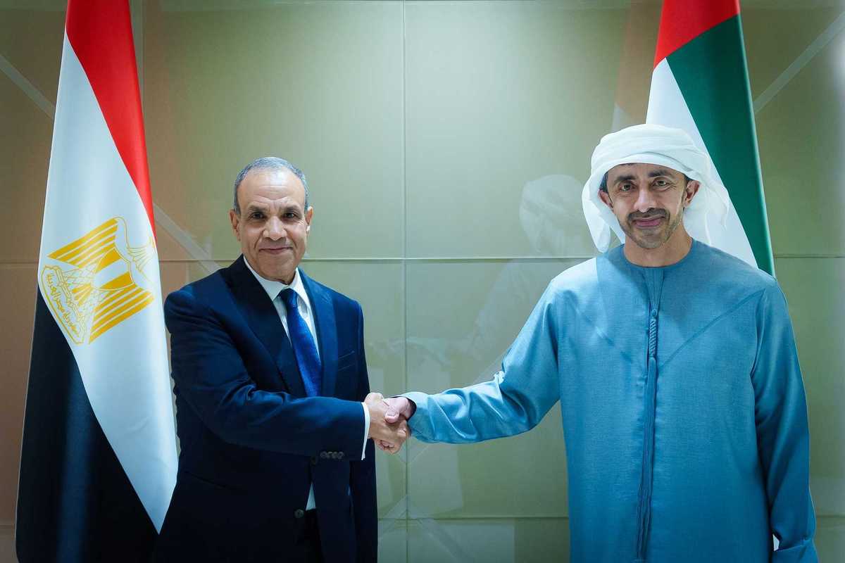 UAE, Egypt foreign ministers discuss Middle East developments in Abu Dhabi