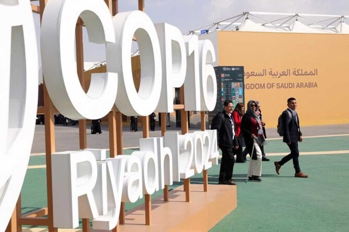 UN warns global drought carries $300 bn annual cost