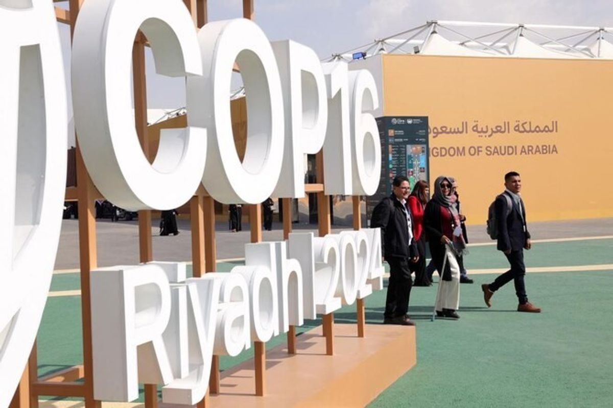 UN warns global drought carries $300 bn annual cost