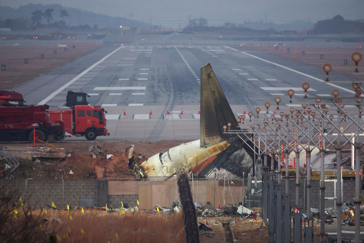 Bird feathers, blood found in both engines of crashed jet in South Korea, source says