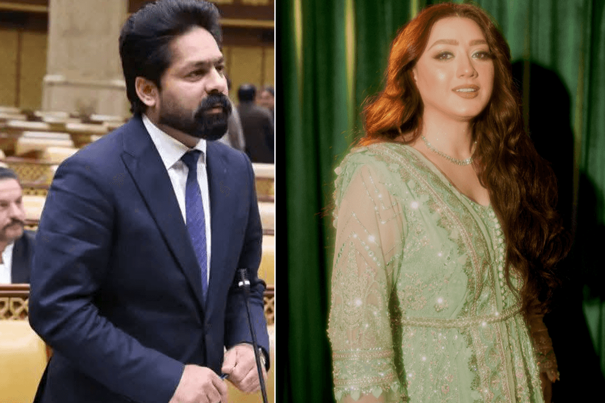 NCCIA launches fresh probe after Pakistani actress rejects report clearing lawmaker in cyber harassment
