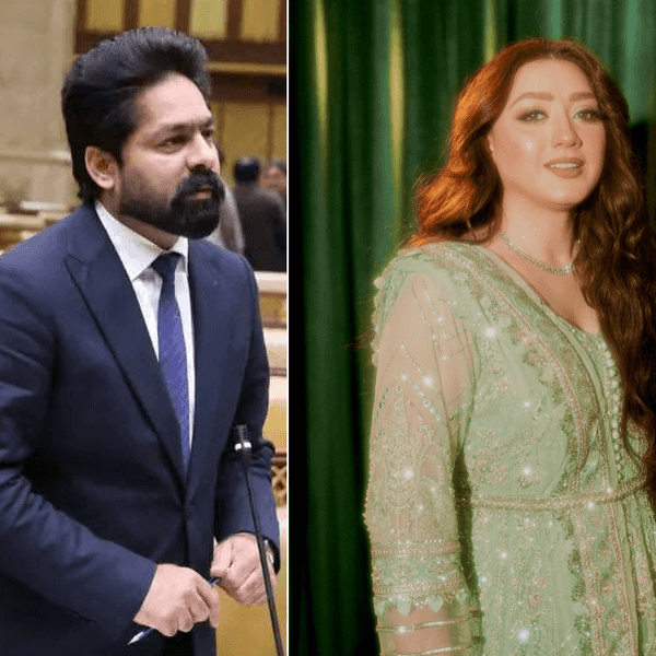 NCCIA launches fresh probe after Pakistani actress rejects report clearing lawmaker in cyber harassment