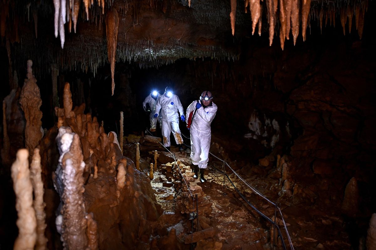 Rarely seen cave art holds prehistoric secrets in France