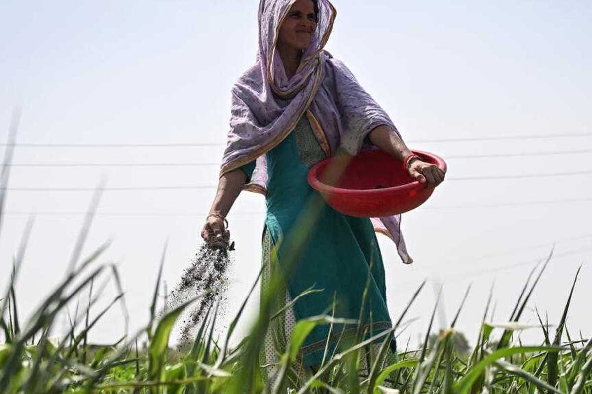 India turns to biofertilizers as Mideast war threatens fertilizer supply