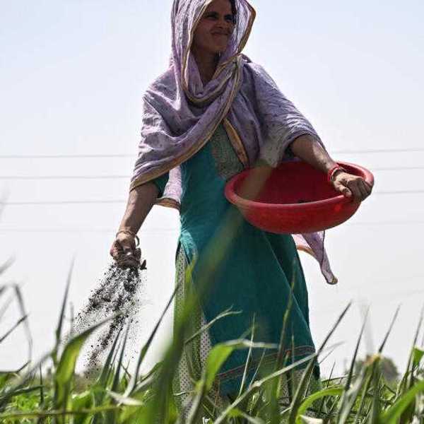 India turns to biofertilizers as Mideast war threatens fertilizer supply