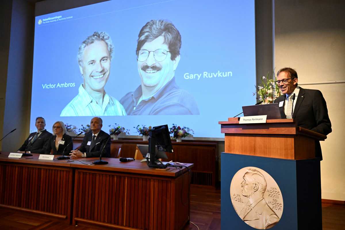 Nobel prize for medicine goes to US pair Ambros and Ruvkun