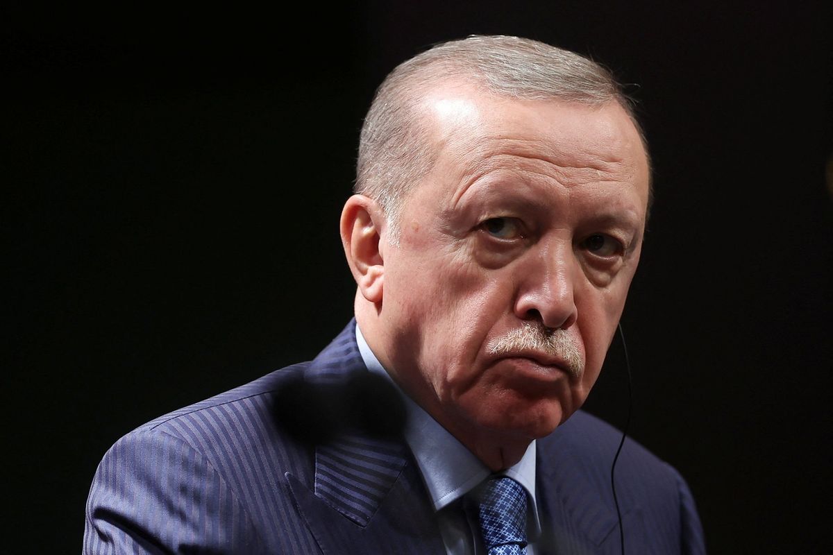 Turkey's Erdogan to Merz: does Germany not see Israeli 'genocide' in Gaza?