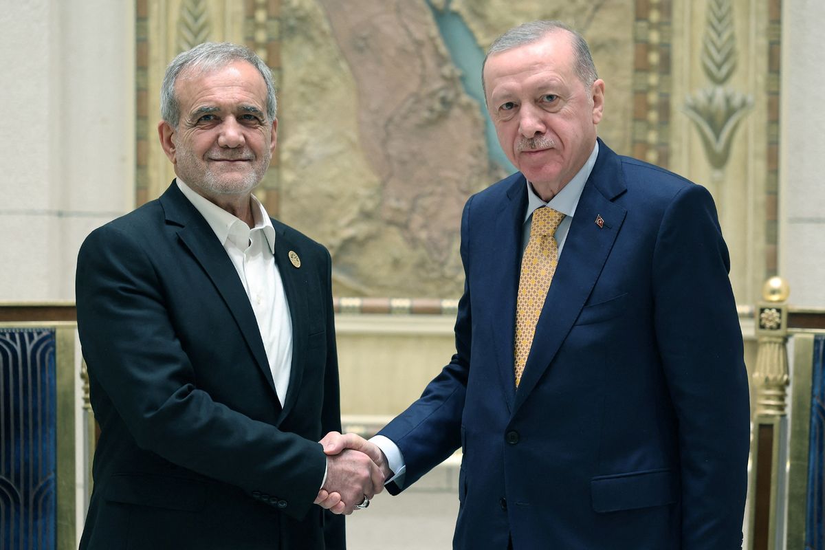 Turkey, Iran leaders call for Syria unity at Muslim summit in Cairo