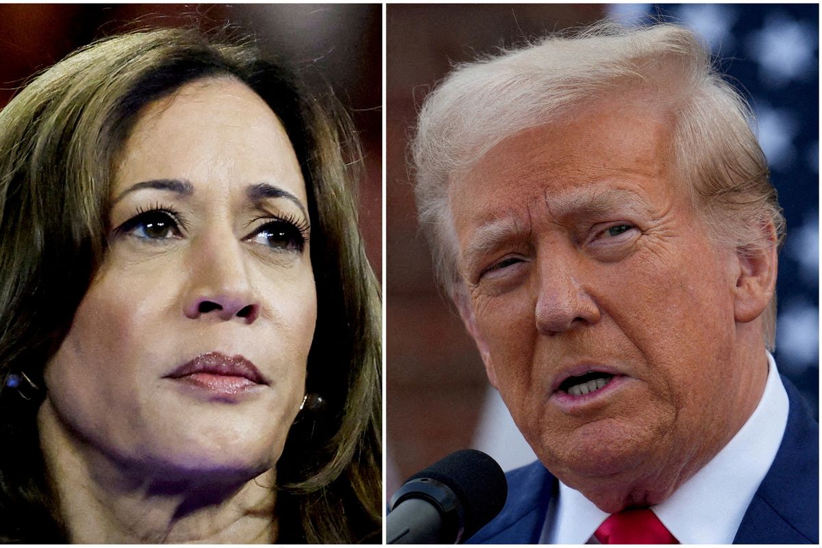 Harris vs. Trump: Who is leading the polls?