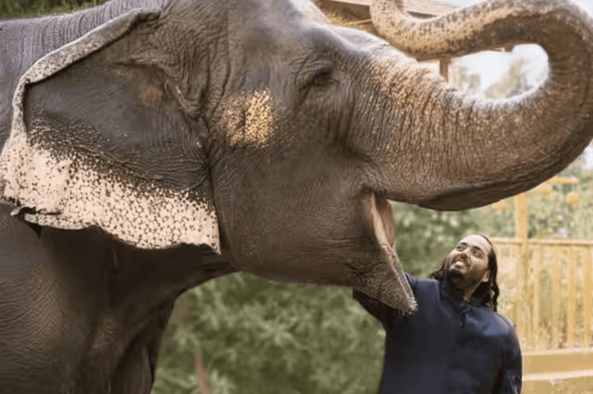 Anant Ambani's giant Vantara zoo announces 'reset', rethinks imports