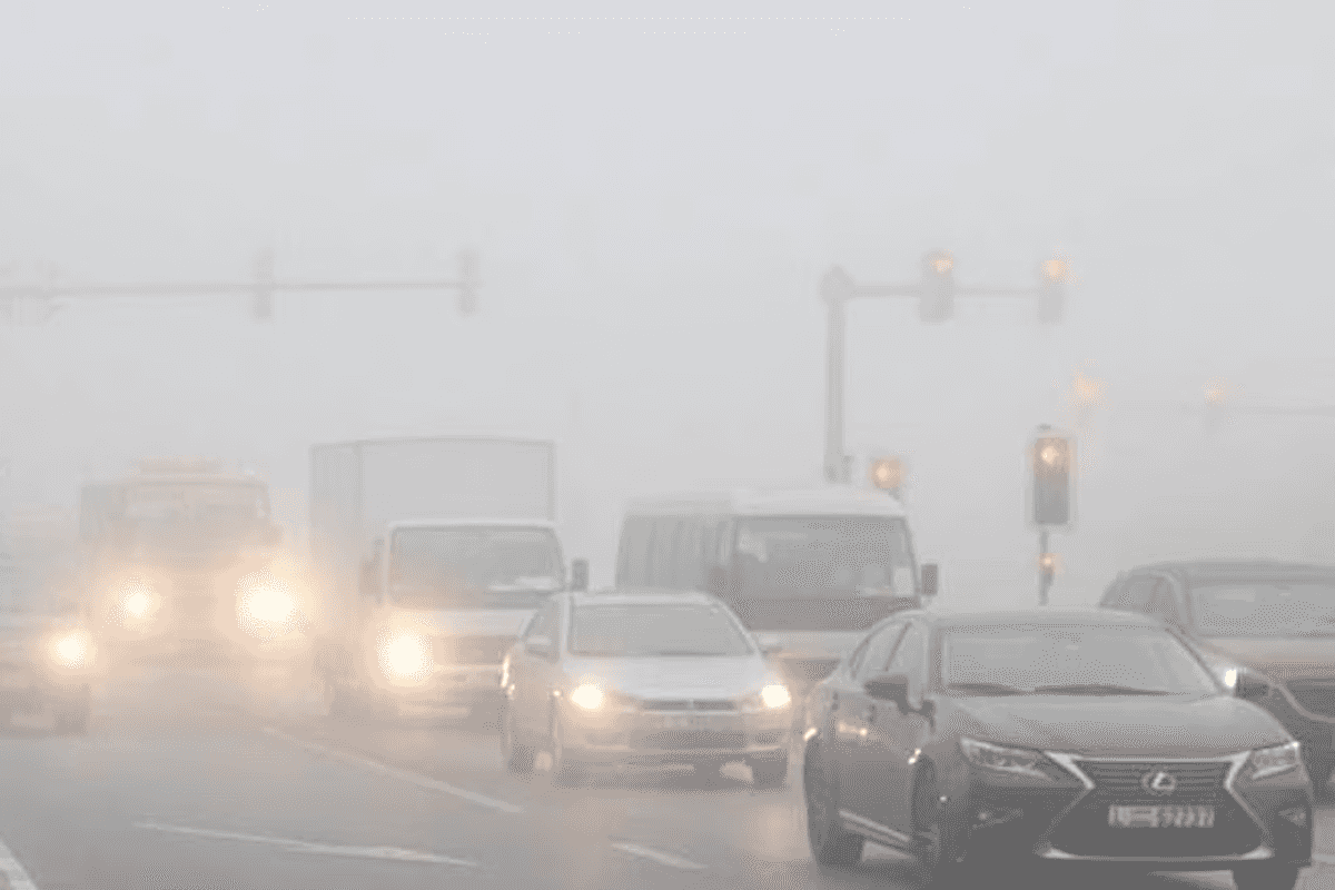 Motorists urged to exercise caution as dense fog hits UAE
