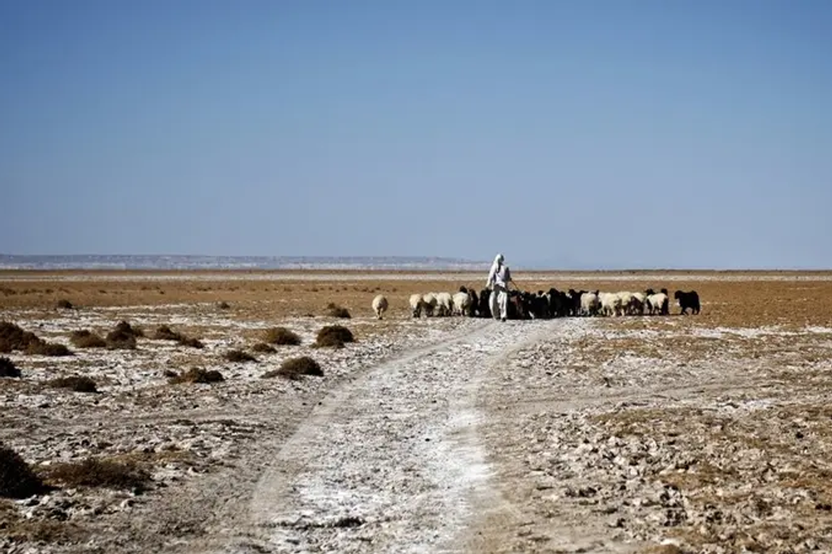 Iran appoints first Baloch governor in restive province
