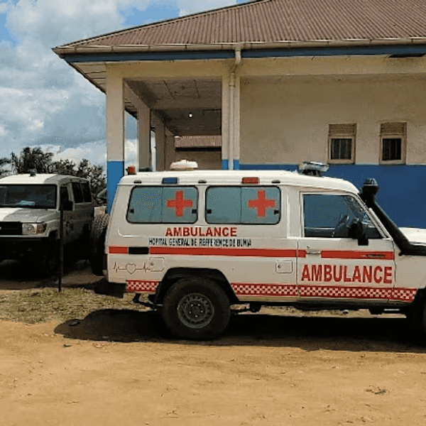 Ebola and hantavirus outbreaks sign of our 'dangerous' times, WHO chief warns