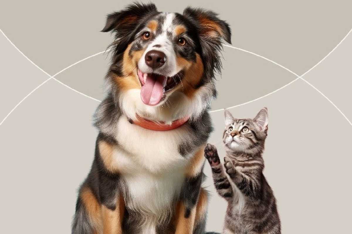 Abu Dhabi wants you to register your pets. Here’s why