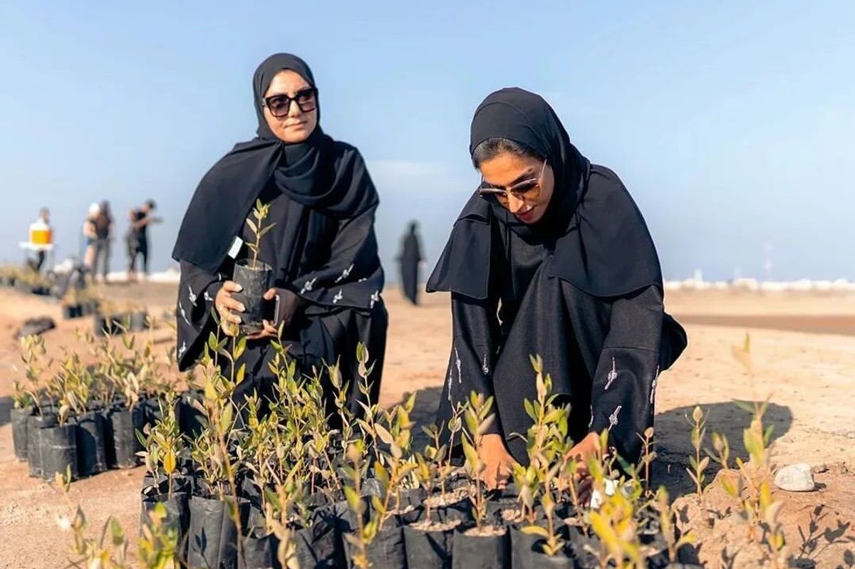Emirates Nature-WWF launches free environmental training for UAE’s nature lovers