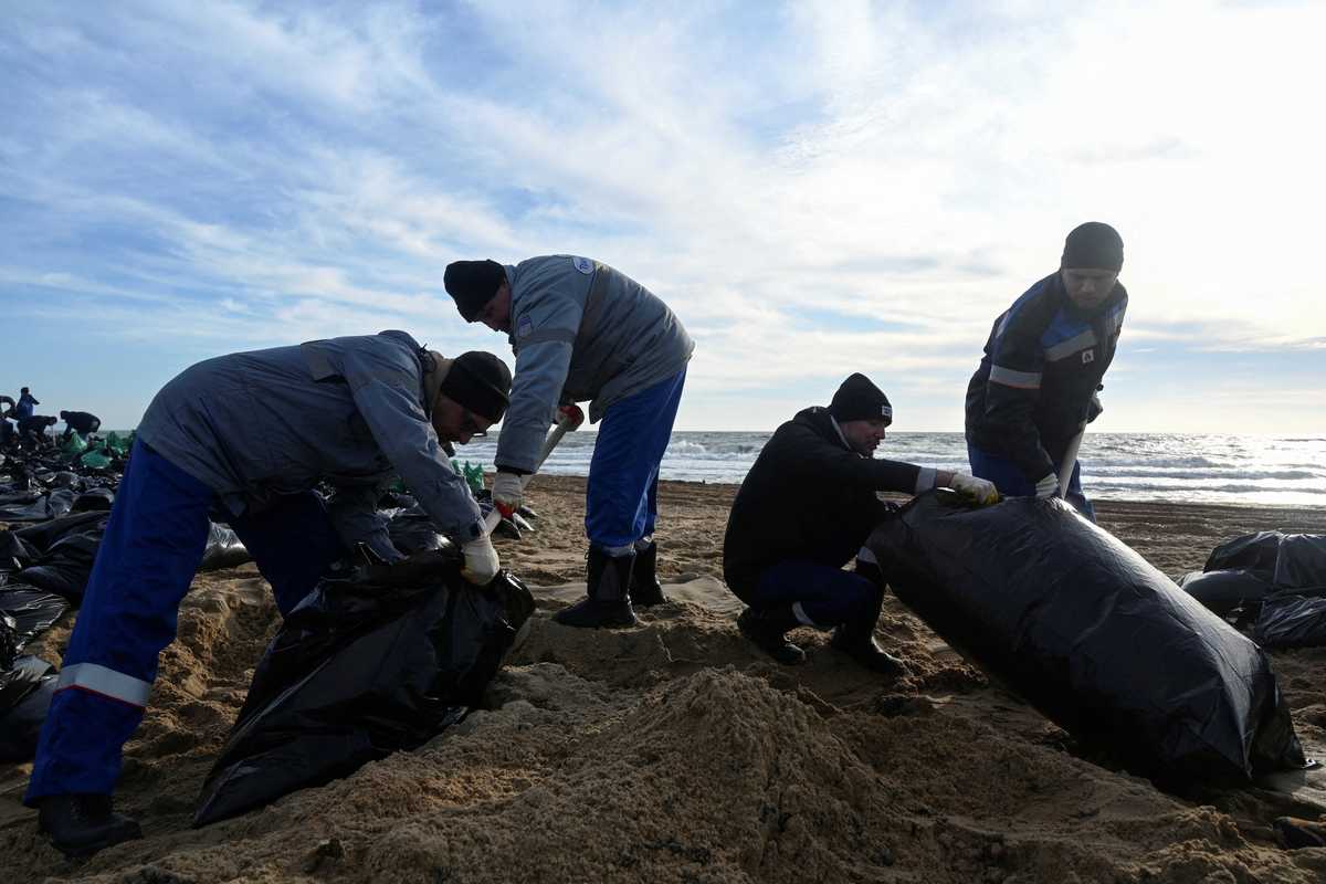 Dozens of marine mammals found dead after Russian oil tanker spill